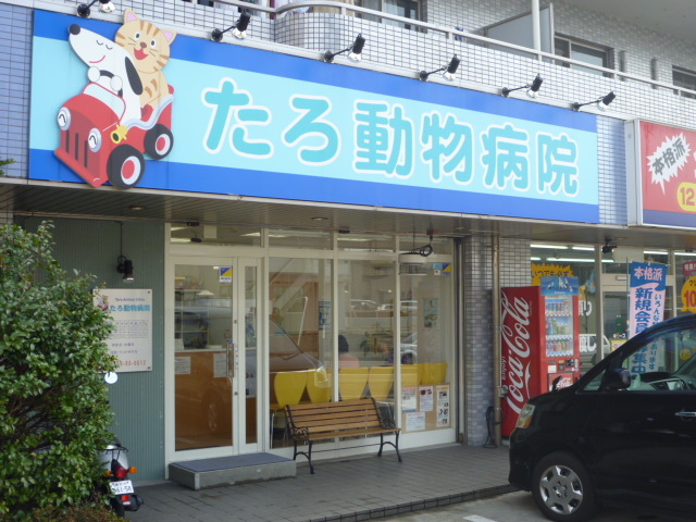 その他　たろ動物病院（その他）まで750m