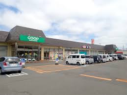 スーパー　ワッツウィズ新道コープさっぽろ店（スーパー）まで707m
