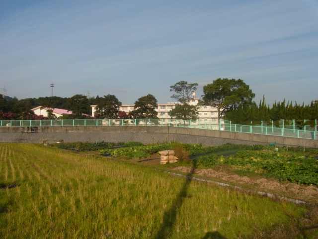 小学校　北九州市立東朽網小学校（小学校）まで472m