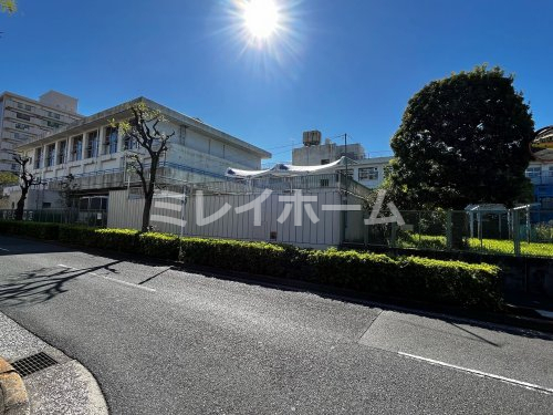 小学校　大田区立大森東小学校（小学校）まで569m
