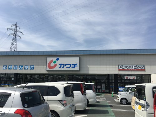 ドラックストア　カワチ薬品　石巻西店（ドラッグストア）まで843m