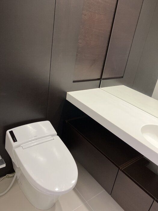 カスタリア目黒長者丸のトイレ写真