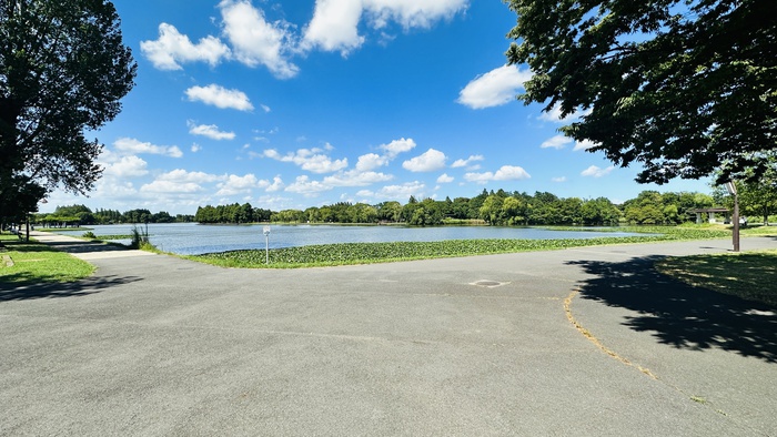 公園　水元公園（公園）まで240m
