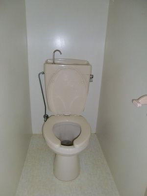 トイレ　トイレも気になるポイント