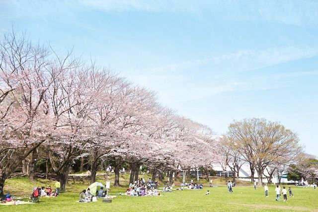 【大和市中央のマンションのその他】