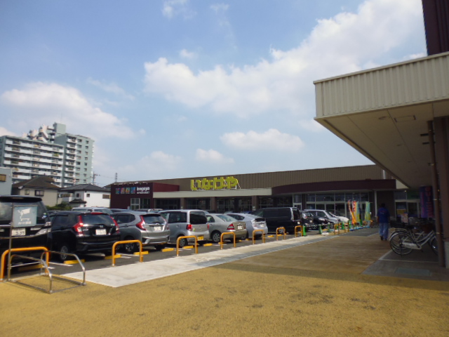 スーパー　いなげや 小平小川橋店（スーパー）まで116m