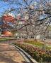 公園　清流公園（公園）まで533m