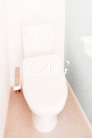 トイレ　トイレです。（同仕様です。）