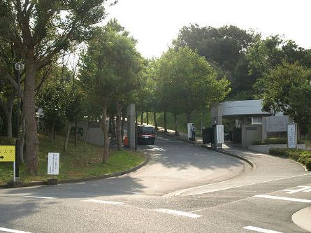 大学・短大　私立明治学院大学横浜キャンパス（大学・短大）まで865m