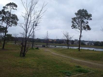 その他　公園（その他）まで5m