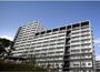 王子駅より徒歩16分 築16年6ヶ月 14階建の賃貸物件