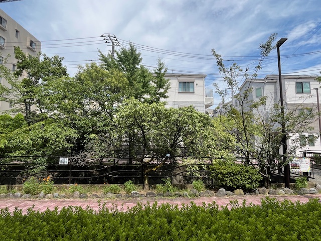 眺望　他のお部屋の参考写真です。