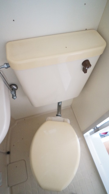 トイレ　参考写真（同建物別部屋）