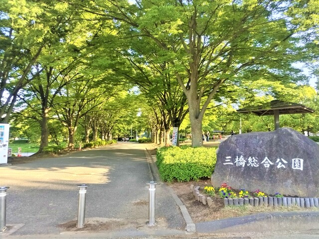その他　三橋総合公園（その他）まで800m