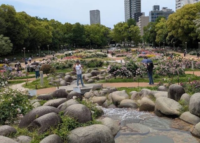 公園　靱公園（公園）まで365m