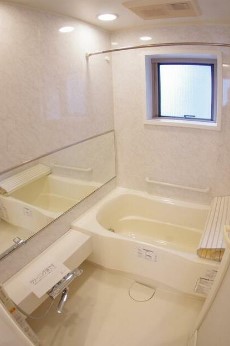 都営大江戸線 牛込神楽坂駅 徒歩3分 14階建 築23年の風呂写真