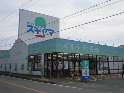 ドラックストア　ドラッグスギヤマ多米店（ドラッグストア）まで1354m