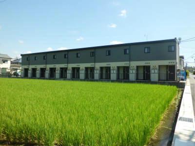 その他　物件北側より撮影。