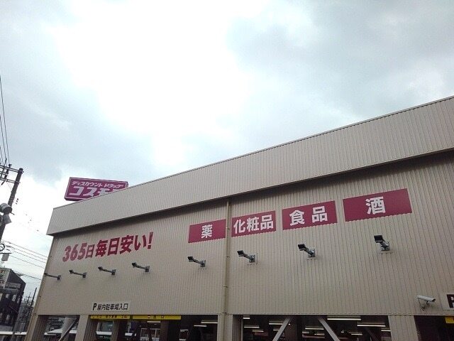 その他　コスモス（その他）まで300m