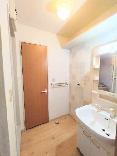 洗面設備　シャワー付き洗面台・洗濯機置場