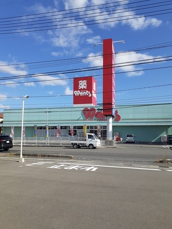 ドラックストア　ウォンツ厚南店（ドラッグストア）まで950m