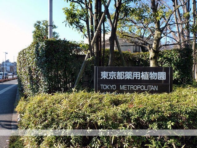 その他　薬用植物園（その他）まで590m