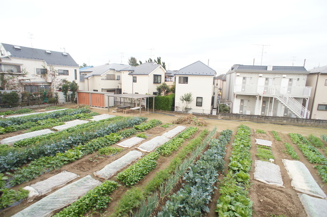 眺望　眺望良好☆お部屋からの景色も魅力のお部屋です♪