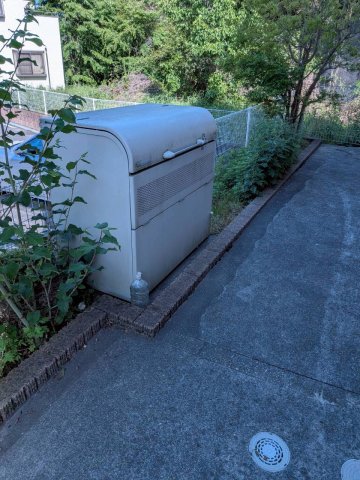 庭