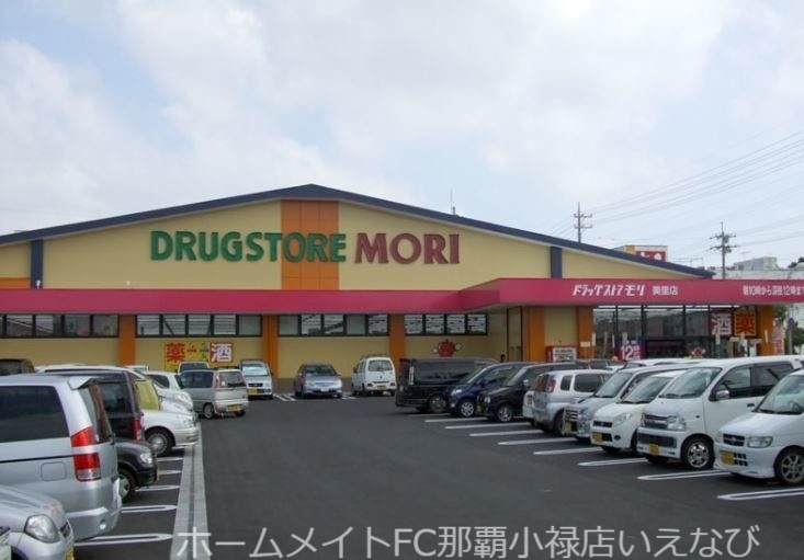 ドラックストア　ドラッグストアモリ美里店（ドラッグストア）まで1508m