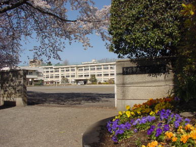 小学校　青梅市立第三小学校（小学校）まで551m