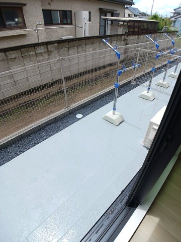 庭