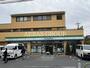 コンビニ　ファミリーマート 練馬高松一丁目店（コンビニ）まで556m