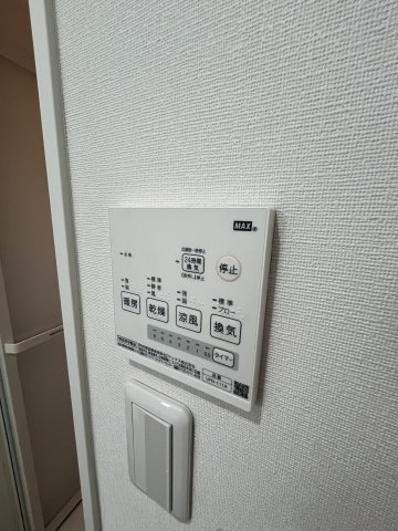 アメリアのその他写真