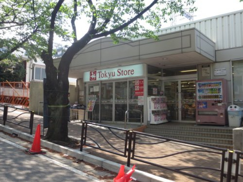 スーパー　宮崎台東急ストア（スーパー）まで740m