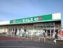 ドラックストア　ドラッグセイムス モールプラザ草加中央店（ドラッグストア）まで586m