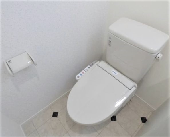 ＪＲ常磐線 柏駅 徒歩13分 3階建 築10年のトイレ写真