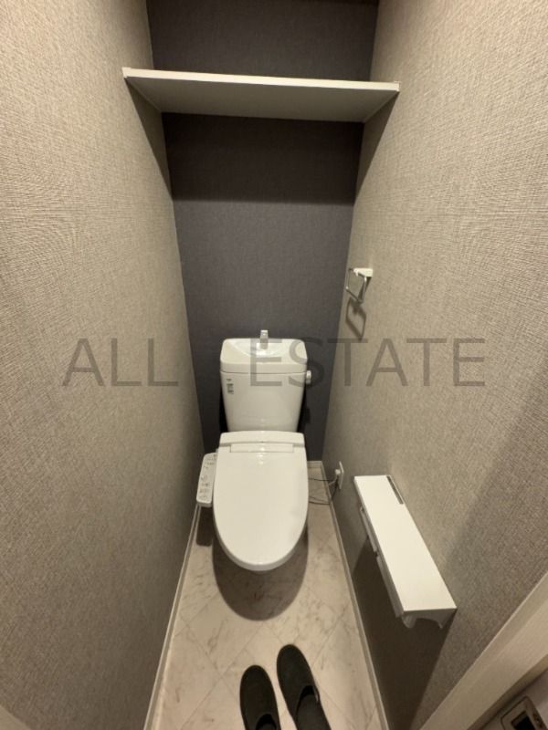 ＪＲおおさか東線 ＪＲ野江駅 徒歩5分 10階建 築4年のトイレ写真