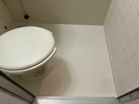 DRホームズ三鷹IIのトイレ写真
