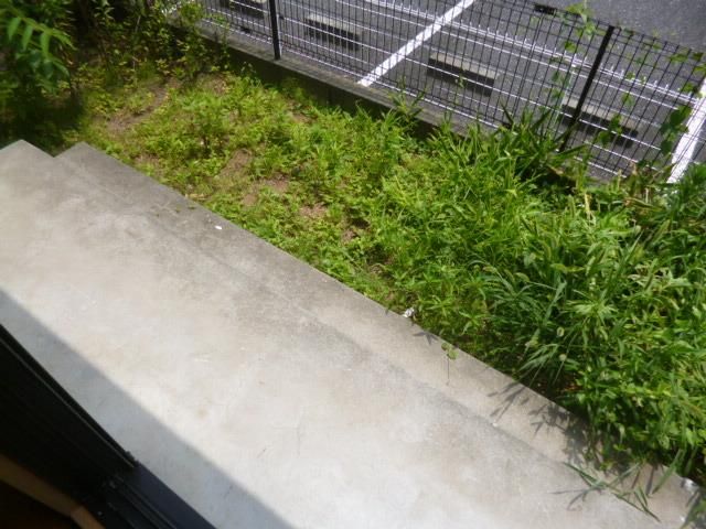 庭