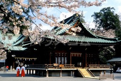その他　三嶋大社本殿（その他）まで631m