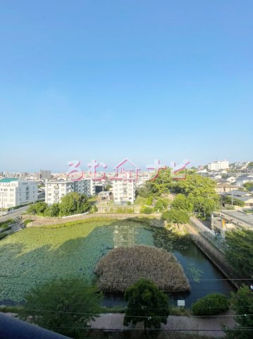 その他　展望