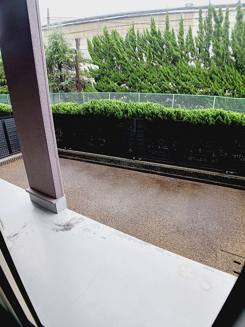 庭