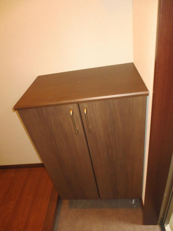 玄関　オール電化築浅アパート！カウンターキッチンのある居室は１１帖