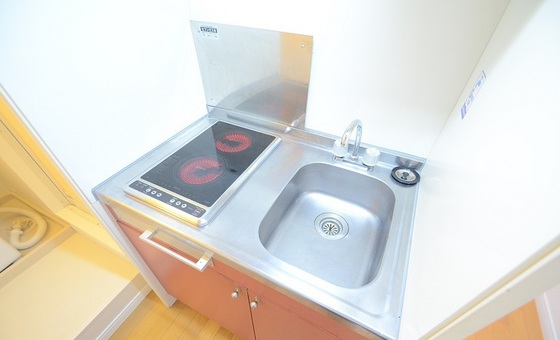 キッチン　※別号室の写真です