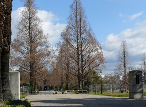 【広島市中区千田町のマンションの公園】