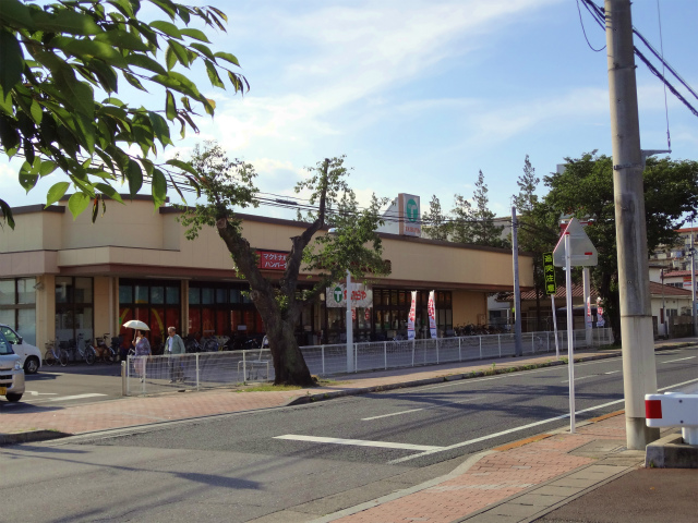 スーパー　たいらや石井店（スーパー）まで772m