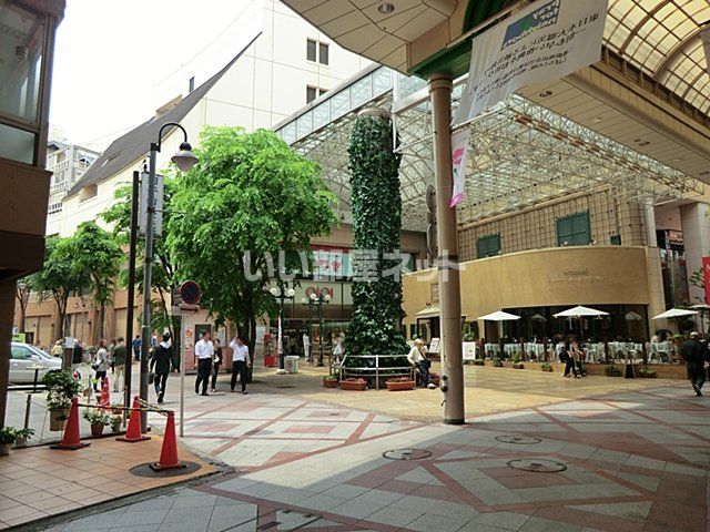 その他　柏モディ（その他）まで1317m