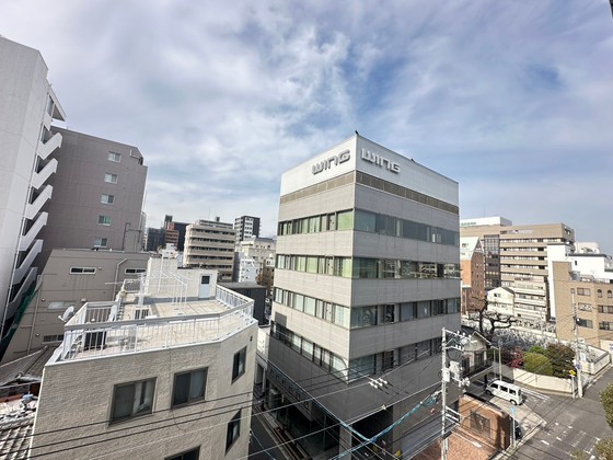 眺望　※別部屋の写真です