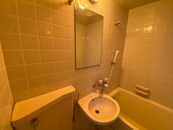 洗面設備　※別部屋の写真です