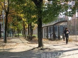 公園　加島中央公園（公園）まで700m